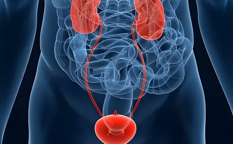 Infecciones del tracto urinario (itu)
