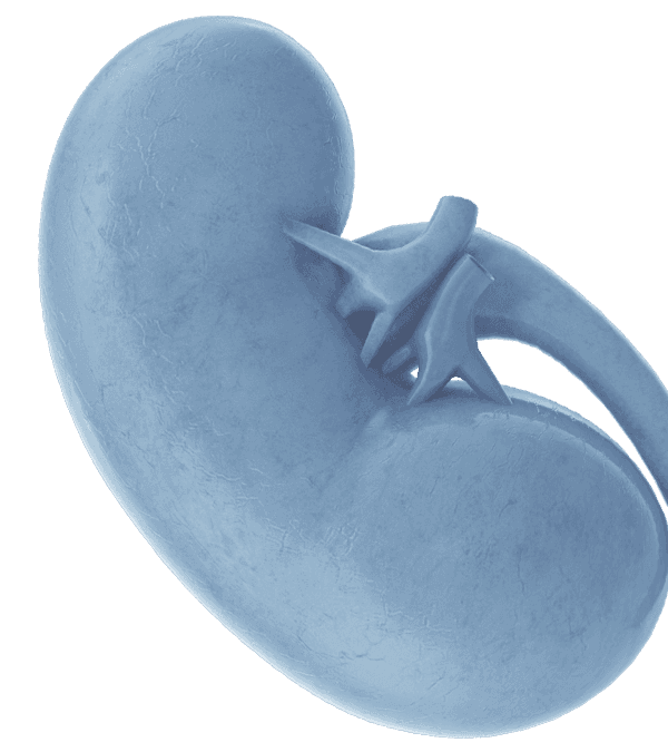 Experience background