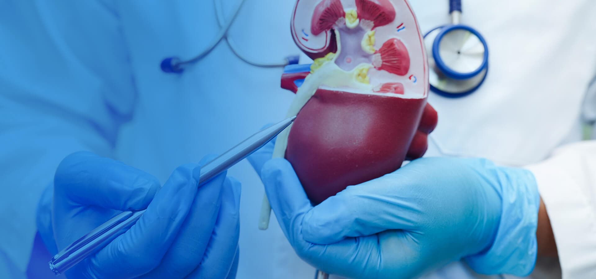 Especialista en Urología